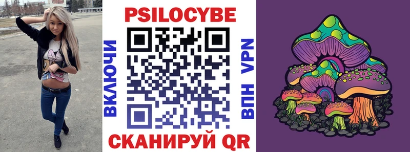Псилоцибиновые грибы мицелий  купить наркотики сайты  Кыштым 